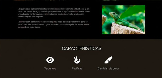 Imagen portada Iguana Page